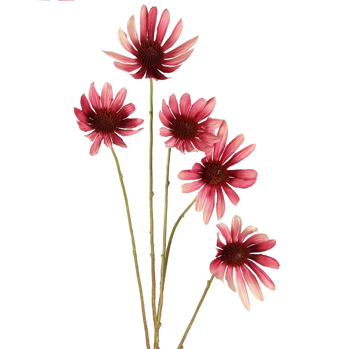Black Eyed Susan Stem Pink 82cm Pack of 12