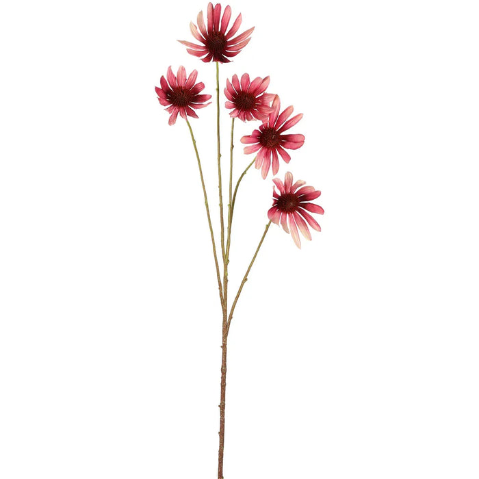 Black Eyed Susan Stem Pink 82cm Pack of 12
