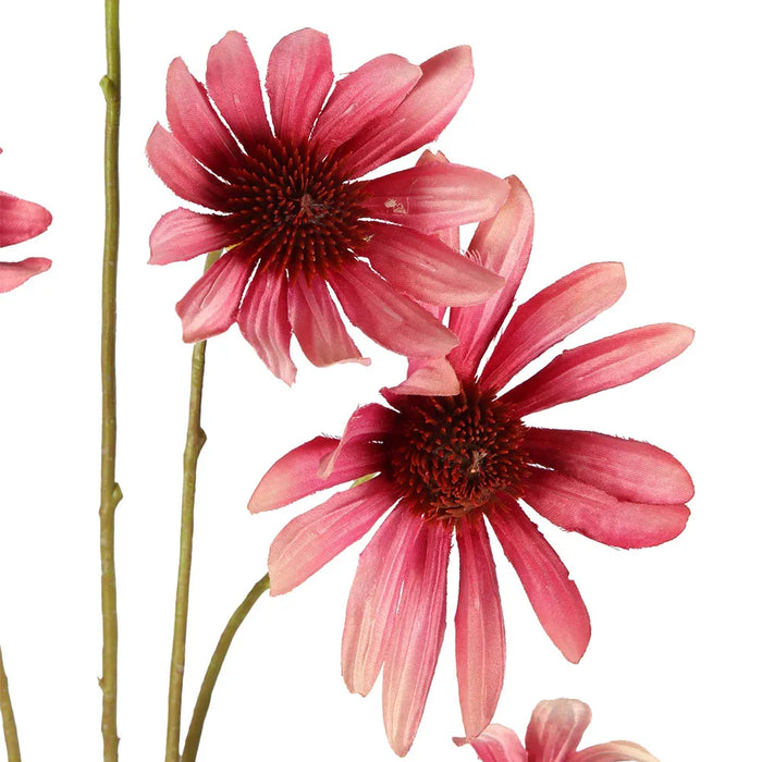 Black Eyed Susan Stem Pink 82cm Pack of 12