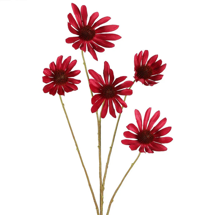 Black Eyed Susan Stem Dark Pink 82cm Pack of 12