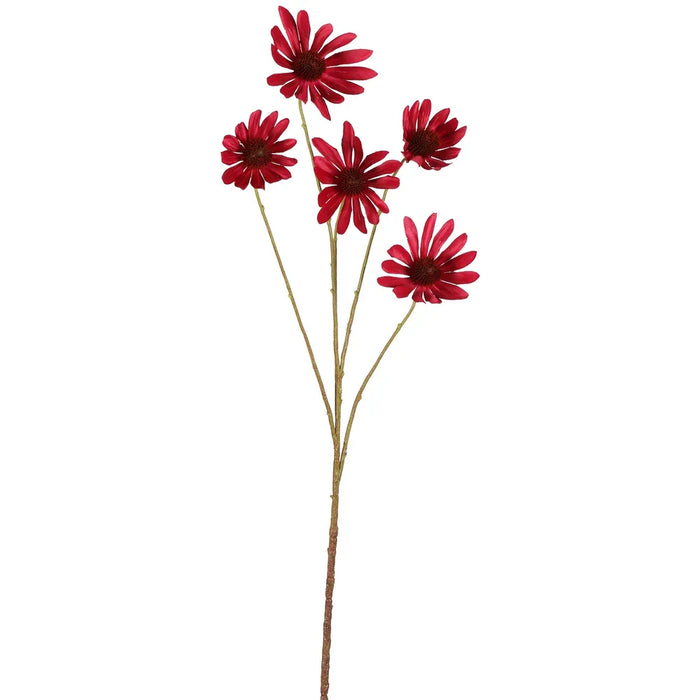 Black Eyed Susan Stem Dark Pink 82cm Pack of 12