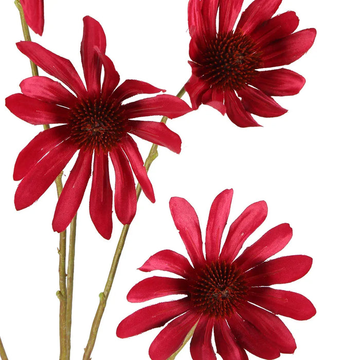 Black Eyed Susan Stem Dark Pink 82cm Pack of 12