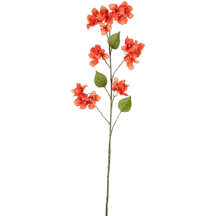 Bougainvillea Spray Beauty Orange 118cm Pack of 12
