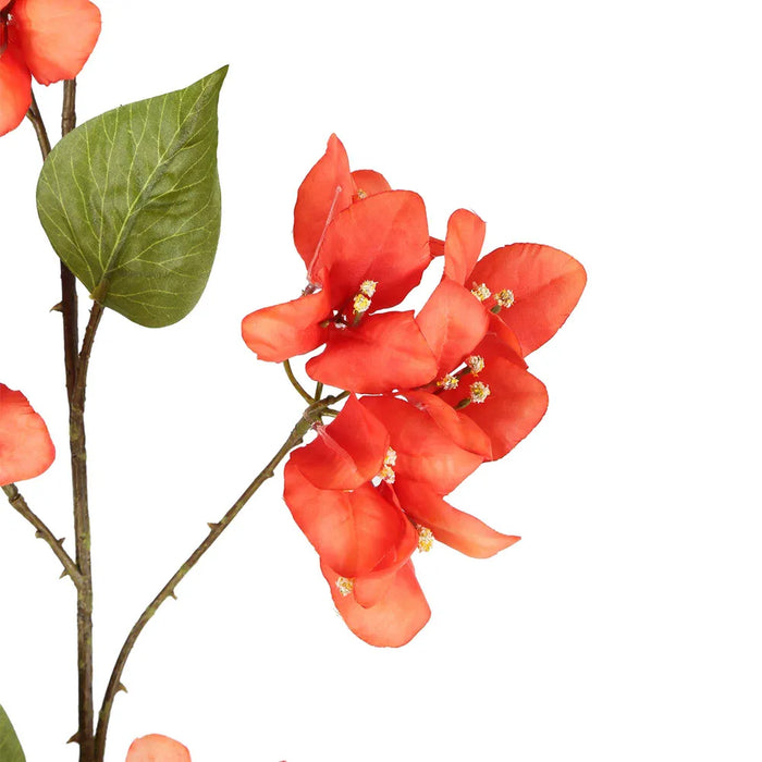 Bougainvillea Spray Beauty Orange 118cm Pack of 12