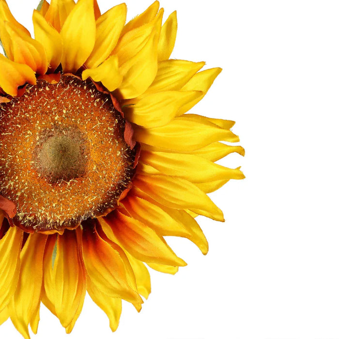 Sunflower Spray Yellow Brown 87cm Pack 12