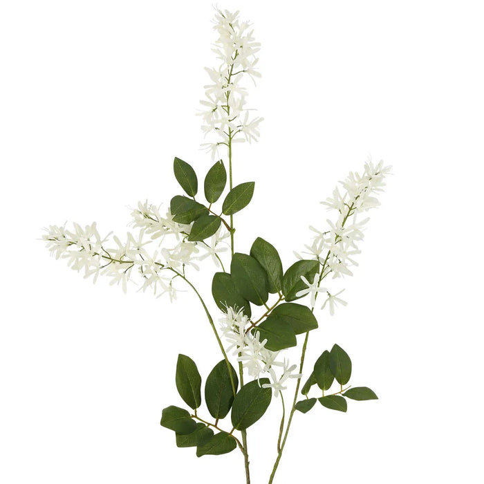 Wisteria Spray Cream 103cm Pack of 12