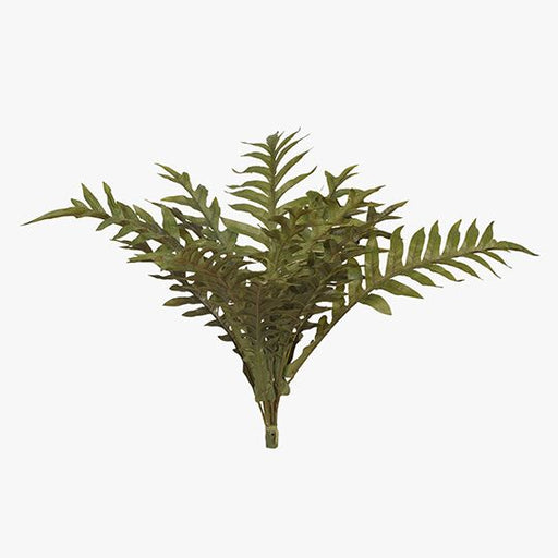 Fern Hares Foot Bush Green 62cm Pack of 12