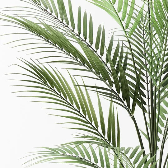 Palm Parlour Green 92cm Pack of 2