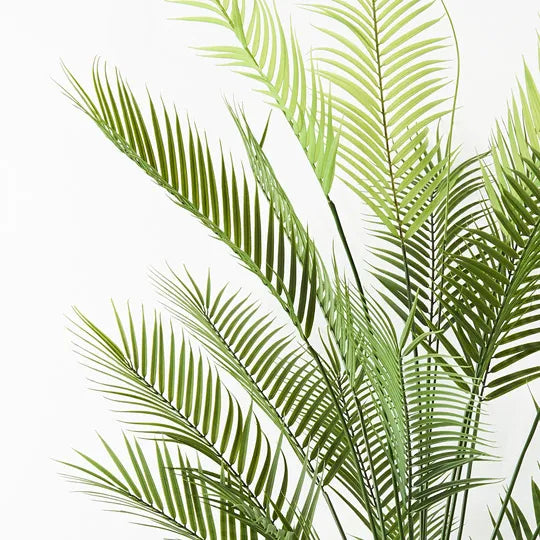 Palm Parlour Green 181cm Set of 2