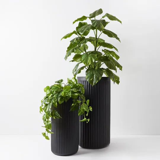 Pot Pleat Cylinder Tall Black Set of Two - 80cm