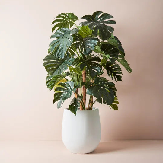 Monstera Tree Green 165cm Pack of 2