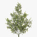 Tea Leaf Mix Bush Green 52cm Pack of 12