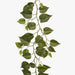 Philodendron Garland Green 182cm Pack of 6
