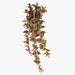 Wandering Jew Hanging Bush Green Burgundy 93cm Pack of 6