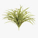 Spider Plant Bush Green White 55cm Pack of 6