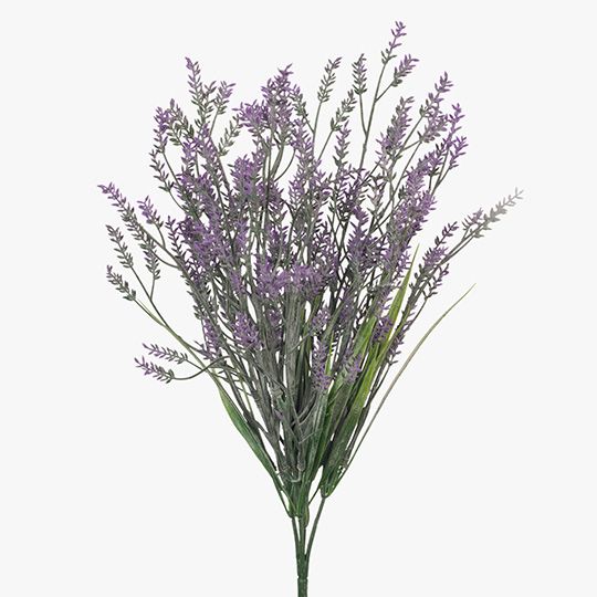 Lavender Bush Purple 36cm Pack of 12