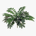 Curry Leaf Bush Green 58cm Pack of 6