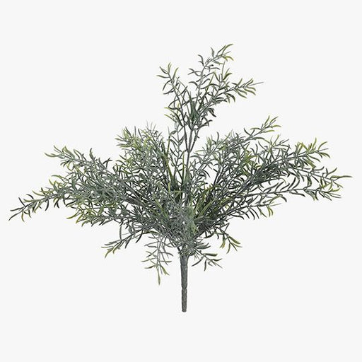 Fern Sprengeri Bush Grey Green 36cm Pack of 12
