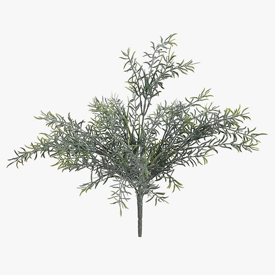 Fern Sprengeri Bush Grey Green 36cm Pack of 12