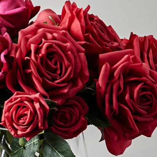 Rose Bella Red 37cm Pack of 12