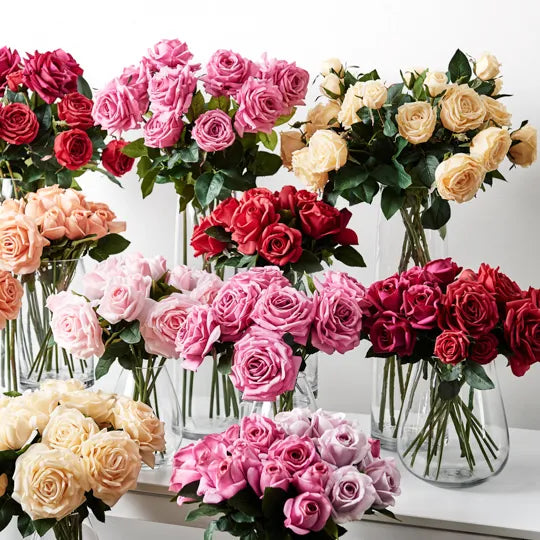 Rose Bella Red 37cm Pack of 12