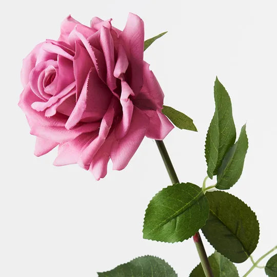 Rose Hannah Mauve Pink 75cm Pack of 12