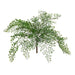 Fern Maidenhair Bush Grey Green 35cm Pack of 12