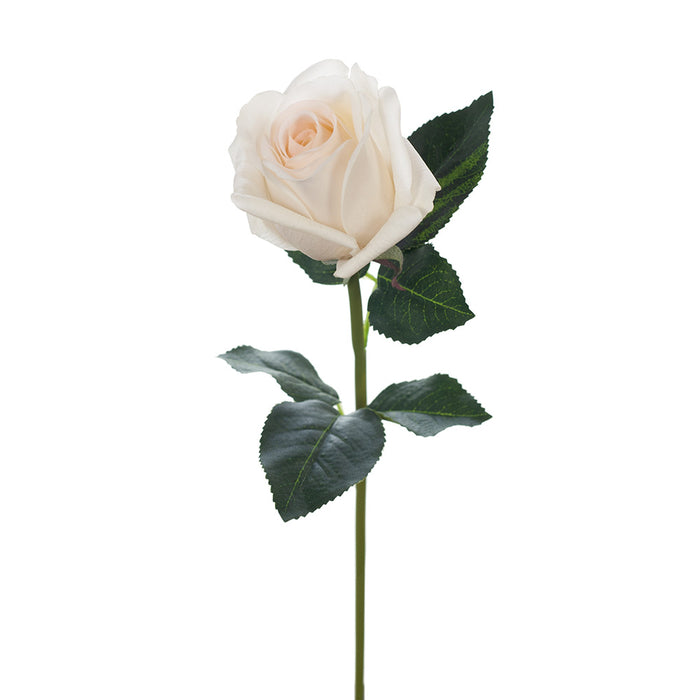 Rosebud Open Bella Ivory White 38cm Pack of 24