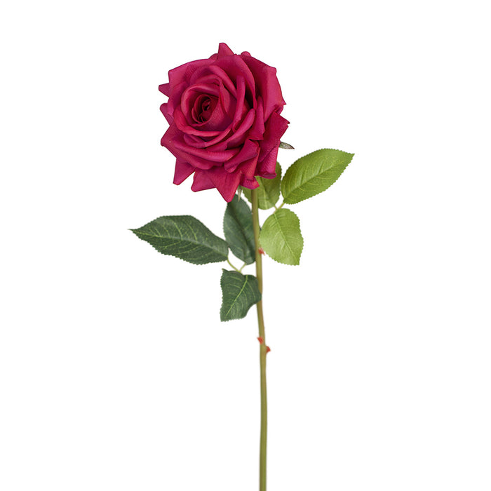 Rose Hannah Burgundy 75cm Pack of 12