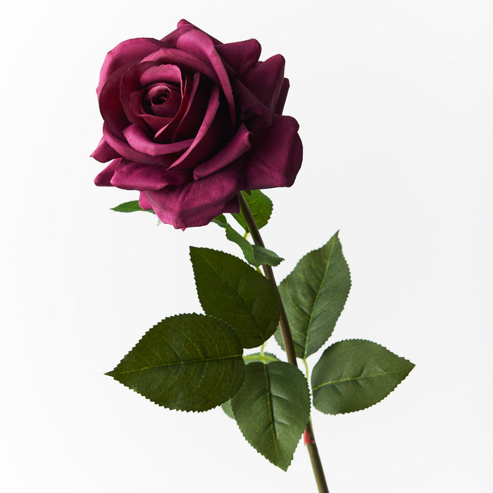 Rose Hannah Plum Purple 75cm Pack of 12
