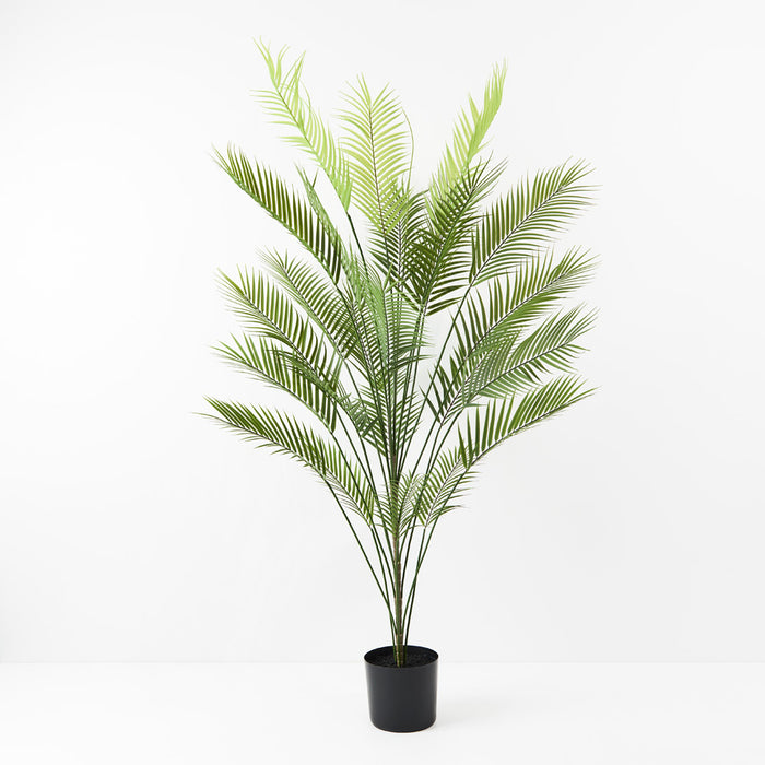 Palm Parlour Green 181cm Set of 2