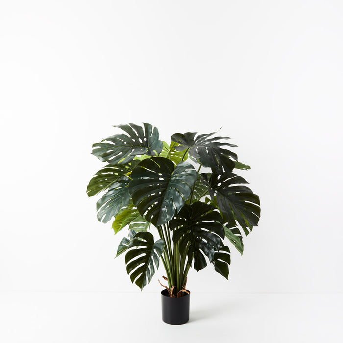Monstera Plant Green 120cm Pack of 2