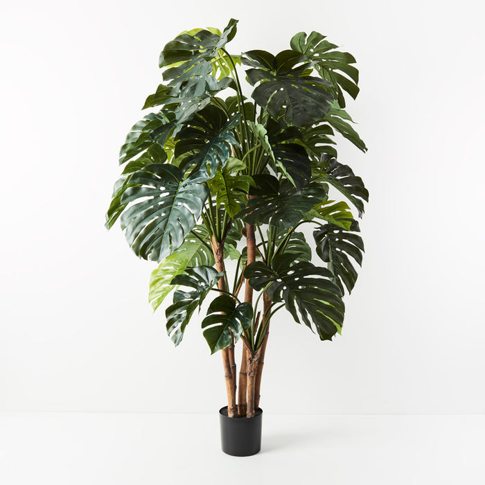 Monstera Tree Green 180cm Pack of 2