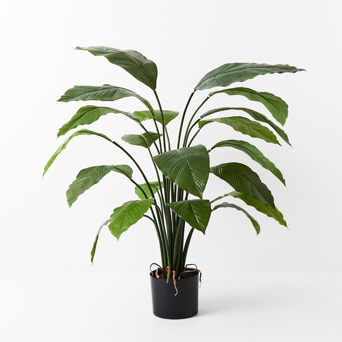 Spathiphyllum Leaf Plant 100cm Set of 2