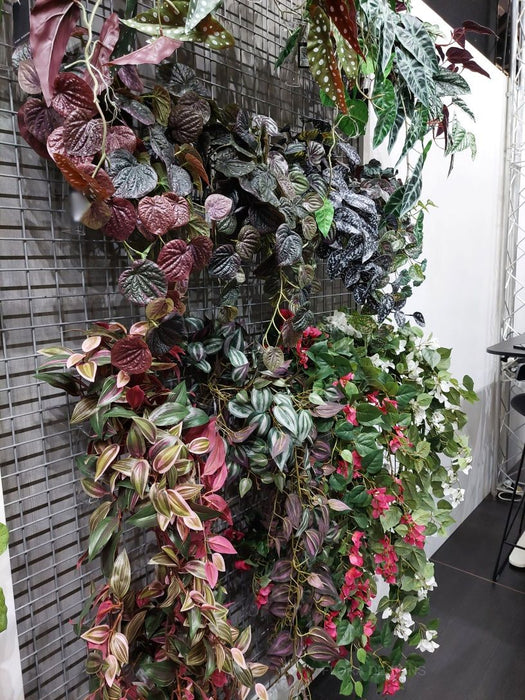 Wandering Jew Hanging Bush Green Burgundy 93cm Pack of 6