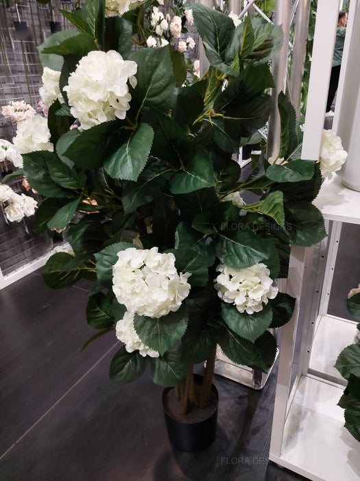 Hydrangea Plant White 120cm Pack of 2