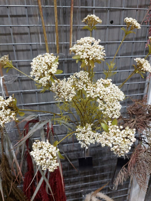 Queen Anne Lace Bush Cream Green 56cm Pack of 12