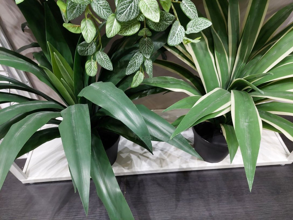 Yucca Plant Green 46cm Pack of 2