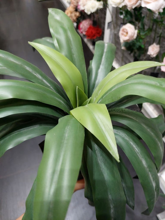 Yucca Plant Green 46cm Pack of 2